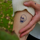 Skull With An Open Mouth