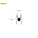 Spider Top View