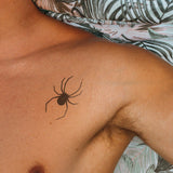 Spider Top View