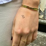 Signe du zodiaque Capricorne